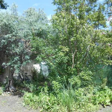 La Bigotiere Avec Clim Et Jardin